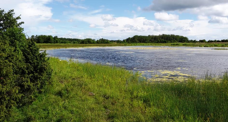 fjärden, trots en