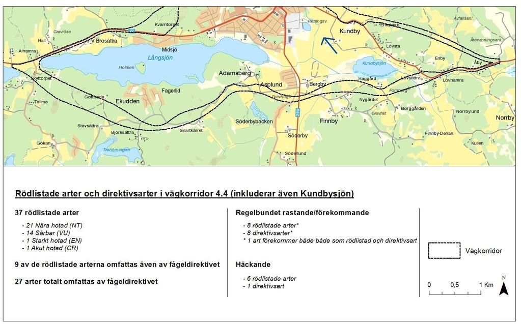 Bilaga 1. Sammanfattning av antalet rapporterade rödlistade arter och arter som omfattas av fågeldirektivet för korridor 4.4 inklusive Kundbysjön.