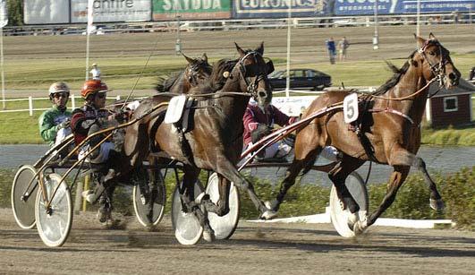 Hot Tub 12,9g 175 Ohlsson Ulf Crown Kemp 13,2 637 Jansson Torbjörn Super Light 13,2 70 Westholm Jörgen Hövding Lavec d10g 409 Svanstedt Åke Gentleman d7g 162 Uhrberg Thomas Segrare: hingst 6 år e.