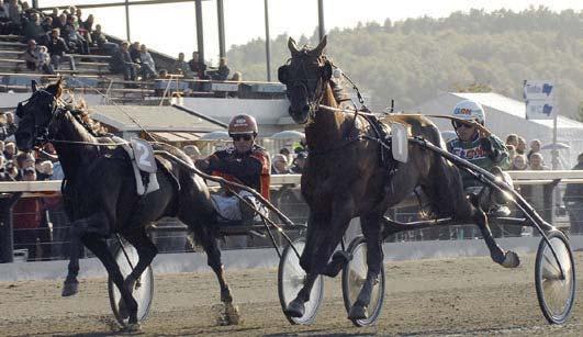Thai Tanic* (NO) 12,9 80 Goop Björn Adams Hall (US) 13,0 472 Svanstedt Åke Jaded 13,1g 124 Kihlström Örjan Citation* (US) 13,1 94 Adielsson Erik My Love Lady* (FR) 13,3 79 Fribault Mathieu Segrare: