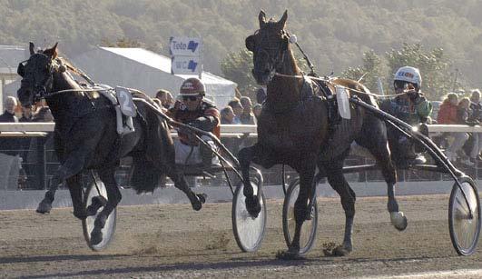 Internationella grupplöpningar Grupplöpningar Åby Stora Pris skiljeheat (Grupp I, Int.) Åby 15 september. Lätt bana. 600.000 kr. 1640 m. Auto 1 Giant Superman 13,5 500.