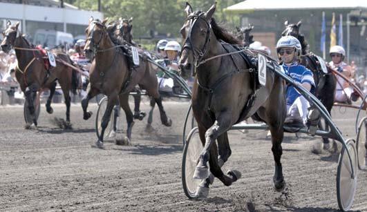 Ohlsson Ulf Segrare: hingst 7 år e. Gentle Star-Arlines Dream. Ägare: Kiselgränd 3 AB, PrePost AB & Stall Real Estate KB. Uppfödare: Nofa Invest AB, Håkansson Egon & Interkavall AB.