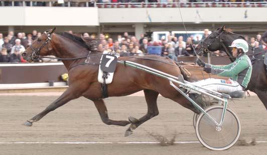 Grupplöpningar Silverhästen (Grupp II Int.) Solvalla 10 november. Lätt bana. 940.000 kr. 2140 m. Auto 1 Kito du Vivier* (FR) 12,7 500.000 22 Svanstedt Åke 2 Colombian Necktie 12,9 250.