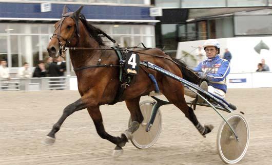 Vinstrikaste varmblod Vinstrikaste 3-åringar Hingstar och valacker Svenskregistrerade - 2007 Alla starter i Sverige och utomlands Namn & fader Segrar Prissumma Sahara Dynamite e. Express Ride 10 2.