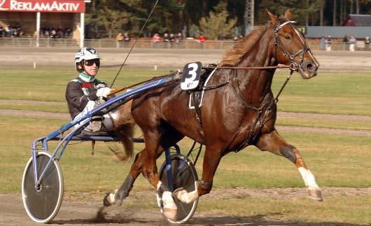 Vinstrikaste varmblod Vinstrikaste 4-åringar Hingstar och valacker Svenskregistrerade - 2007 Alla starter i Sverige och utomlands Namn & fader Segrar Prissumma Commander Crowe e. Juliano Star 11 3.
