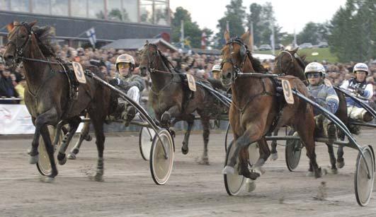 878 Persson Stefan Segrare: valack 4 år e. Juliano Star-Somack. Ägare: P.P.Travträning AB (Puro Petri) & Parkköken i Göteborg AB. Uppfödare: Puro Petri, Halmstad.
