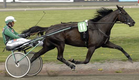 Auto 1 Vala Boko 14,4 850.000 15 Kontio Jorma 2 Lovely Conch 14,5 425.000 201 Larsen Öystein 3 Stargirl 14,7 212.500 137 Svanstedt Åke 4 Debbie Brodda 14,7 102.