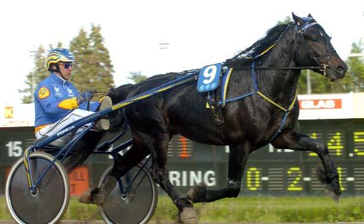 Vinstrikaste kallblod Vinstrikaste 3-åringar Hingstar och valacker Svenskregistrerade - 2007 Alla starter i Sverige och utomlands Namn & fader Segrar Prissumma Järvsöviking e. Järvsöfaks 8 829.