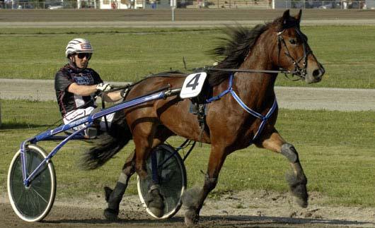 R. e. Buås Svarten 1 76.100 Toldo Brun e. Skaffer Brunen 3 72.000 Norrlands Akvavit e. Rigel Jo 4 63.000 Almondo e. Forin Brage 2 62.200 Stjärngnist e. Järvsöfaks 1 61.800 Vallby Enar e.