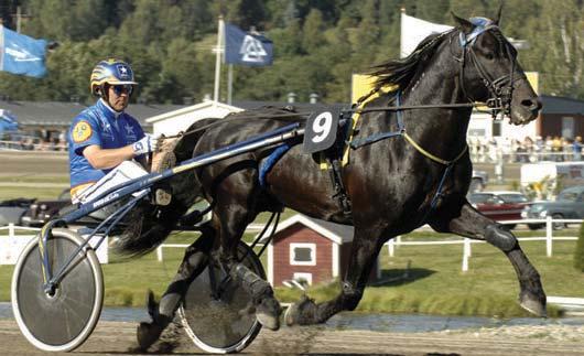 Vinstrikaste kallblod Vinstrikaste äldre Hingstar och valacker Svenskregistrerade - 2007 Alla starter i Sverige och utomlands Namn, ålder & fader Segrar Prissumma Järvsöfaks (13) e. Trollfaks 19 2.