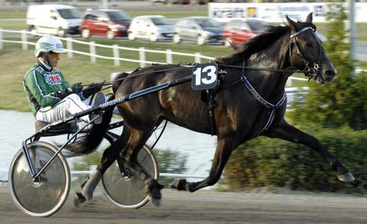 500 Spangmigutten (7) e. Spang Best 7 296.500 Vingbo Stjärn (6) e. Rolex K. 6 292.000 Elias (7) e. Järvsöfaks 2 280.250 Kläppman (6) e. Snärt Troll 6 260.500 Faksen J:r e. Järvsöfaks 1 257.