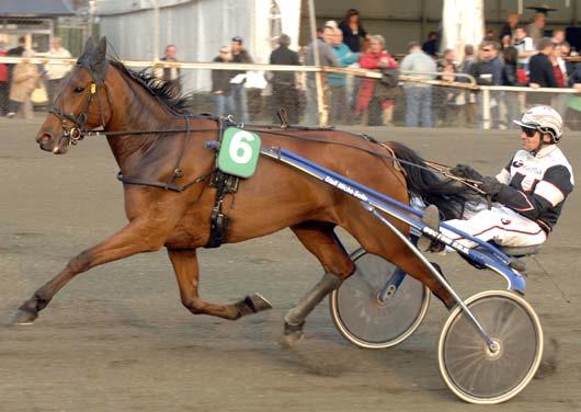 Snabbaste 4-åriga ston Snabbaste varmblod Leas tid 1.13,5 var nytt svenskt voltstartsrekord. Svenskfödda Volt Lea Mp 10/12 1640 *1.13,5 Umbrella Hornline E 18/8 1640 *1.
