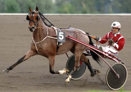Snabbaste 5-åriga h/v Snabbaste varmblod One Man Show noterade 1.10,0 auto i USA. Svenskfödda Volt Maximal Value Å 13/9 2160 *1.13,6 Sommelier J 27/2 1640 *1.13,8 G.Moll Hd 26/3 2164 *1.13,8 Äldans K.