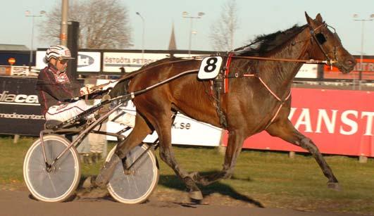 849 477 Goop Björn Opl.