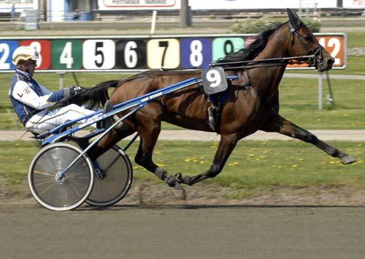 Snabbaste äldre h/v Snabbaste varmblod Turbo Sund 1.13,3 sträcker ut i sedvanlig stil. Svenskfödda Volt Turbo Sund (6) Ö 12/4 1660 *1.13,0 Opal Viking (7) W 29/9 2180 *1.