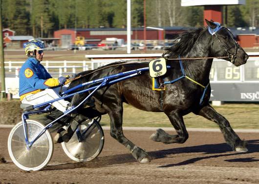 Snabbaste 3-åriga h/v Snabbaste kallblod Hibogubben satte svenskt rekord under året. Svenskfödda Volt Hibogubben B 6/9 1700 *1.28,0 Eld Kevin U 21/9 2180 *1.28,1 Guldsvarten U 21/9 2160 1.