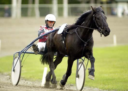 Snabbaste 4-åriga ston Snabbaste kallblod Vixie med rutinerade Lars Lindberg. Svenskfödda Volt Vixie Ös 8/6 1640 1.27,2 Pål Elda F 22/9 2140 1.28,6 Perleann H 2/7 2140 1.