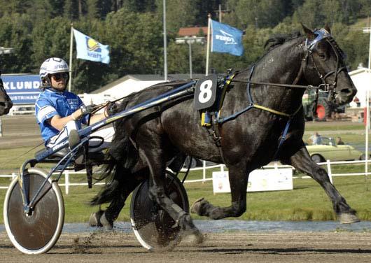 Snabbaste 5-åriga h/v Snabbaste kallblod Faksen J:r noterade mycket snabba 1.21,6a på Gävle den 20/10. Svenskfödda Volt Faksen J:r B 17/5 2160 1.25,1 Myllarfaks U 19/10 1640 *1.
