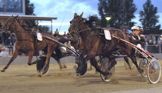 000 15 Adielsson Erik 5 Device 13,2 64.000 135 Eriksson Håkan 6 Arctic Hope* (FI) 13,5 40.000 828 Korpi Pekka Opl.