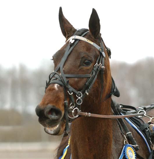 Vinstrikaste hästägare & uppfödare Vinstrikaste hästägare 2007 Intjänade prispengar i Sverige och utomlands. Ägare Hästar Starter Segrar Prissumma 1 Easy KB, Uppsala 56 456 79 8.733.