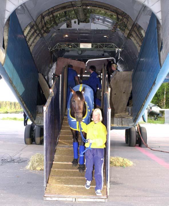 Professionella träningsstall & Import och export.namn & hemort Bana Starter 1:a 2:a 3:e Prissumma. Söderholm Lars-Åke, Eskilstuna E 148 13 15 12 839.550 Södervall Patrik, Eldsberga Hd 117 12 10 14 1.