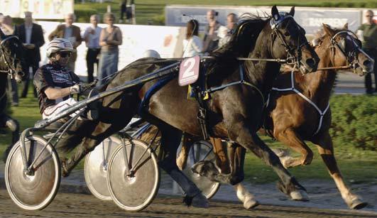 Insatslopp kallblod Svenskt Kallblodsderby Östersund 8 juni. Lätt bana. 605.000 kr. 2140 m. Auto 1 Stjerne Faks* (NO) 26,0 300.000 40 Ohlsson Ulf 2 Håkon Jo* (NO) 26,0 150.
