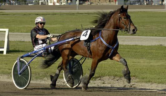 000 770 Wallberg Håkan Opl. Silkefaks (NO) 27,2 908 Lindberg Lars Augne Troll* (NO) 28,6 1137 Eklöf Bo Almondo 29,0g 1567 Johansson Jan-Olof Ludde S.R. d0g 272 Siltala Tauno Segrare: hingst 4 år e.