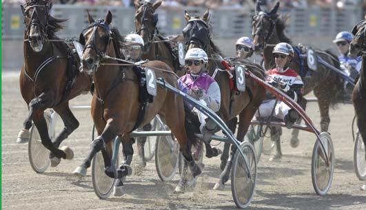 Ägare: De Senneville Paul C, Frankrike. Uppfödare: De Senneville Paul C, Frankrike. Tränare: Ducher Jean Philippe, Frankrike Totalisatoromsättning: 8.530.218 kr. Odds: 5,29. Plats: 1,73-1,89-1,84.