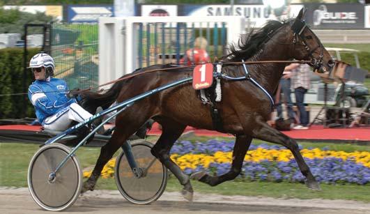 Internationella grupplöpningar Sweden Cup, uttagningslopp Solvalla 26 maj. Lätt bana. 189.000 kr. 1609 m. Auto 1 Digger Crown 10,9 100.000 18 Adielsson Erik 2 Hövding Lavec 10,9 50.