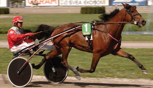 Natif de l Hommee* (FR) 11,7 64 Locqueneux Dominiek Max Prix 11,7 1332 Pierce Ronald D Harlans Boogie 11,8 240 Nordström Per Talang Sund dug 100 Linder Fredrik Segrare: hingst 10 år e.