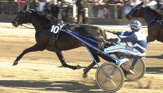 Plats: 1,36-1,84-1,40. Sweden Cup, uttagningslopp Solvalla 26 maj. Lätt bana. 189.000 kr. 1609 m. Auto 1 French Design* (NO) 12,5 100.000 33 Tholfsen Hans Petter 2 Exelon L.B.* (IT) 12,6 50.