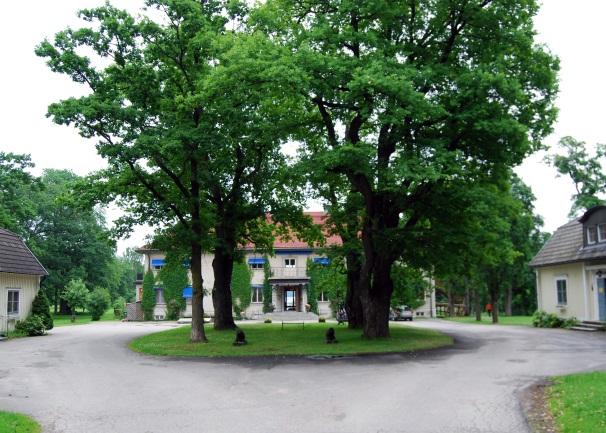 För att skydda de kulturvärden som finns i de gruppbyggda husen längs Masugnsgatan läggs två skyddsbestämmelser till i detaljplanen.