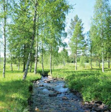 För ytterligare information om landskapsbilden, se Förenklat gestaltningsprogram Tandö Bu, väg 66. 2014 08-29. av sitt visuella värde.