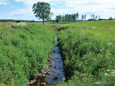 Vidare bedöms tillgänglighet till naturresursen utifrån om den blir mer lätt- eller svårbrukad på grund av åtgärden. 7.5.