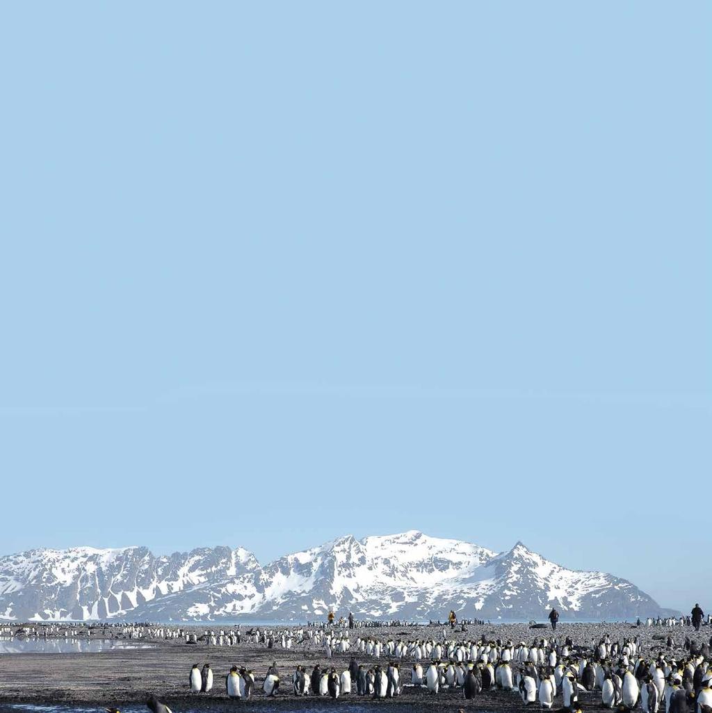 EN OFÖRGLÖMLIG EXPEDITIONSKRYSSNING OMBORD PÅ HEBRIDEAN SKY Denna spännande expeditionskryssning startar i Puerto Madryn i Argentina och följda av sjöfåglar sätter vi kurs mot de avlägsna