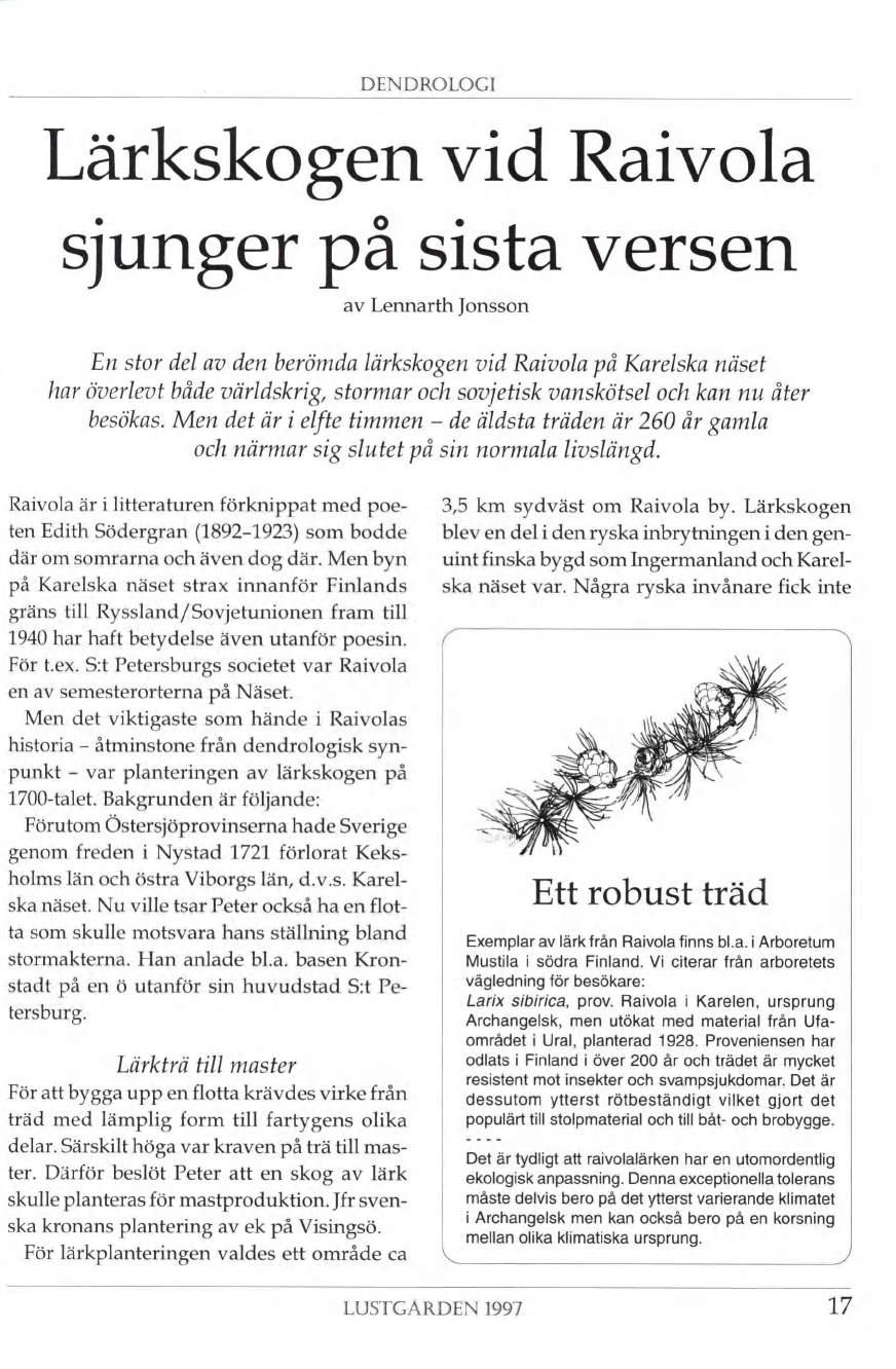 DENDROLOGI Lärkskogen vid Raivola sjunger på sista versen av Lennarth Jonsson En stor del av den berömda lärkskogen vid Raivola på Karelska näset har överlevt både världskrig, stormar och sovjetisk