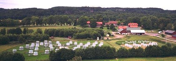 Översiktsbild ifrån försöksområdet vid Östads säteri, 1999, taget ifrån SO mot NV.