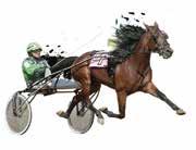 000 kr 10 st: 4-3-0 Tvåa i Stosprintern, tvåa försök Stochampionatet S.J. s Caviar står även 2019 på: Brodda Stuteri 0411-462 50, 070-622 77 24 brodda@brodda.se Andra svenskfödda kullen f.15!
