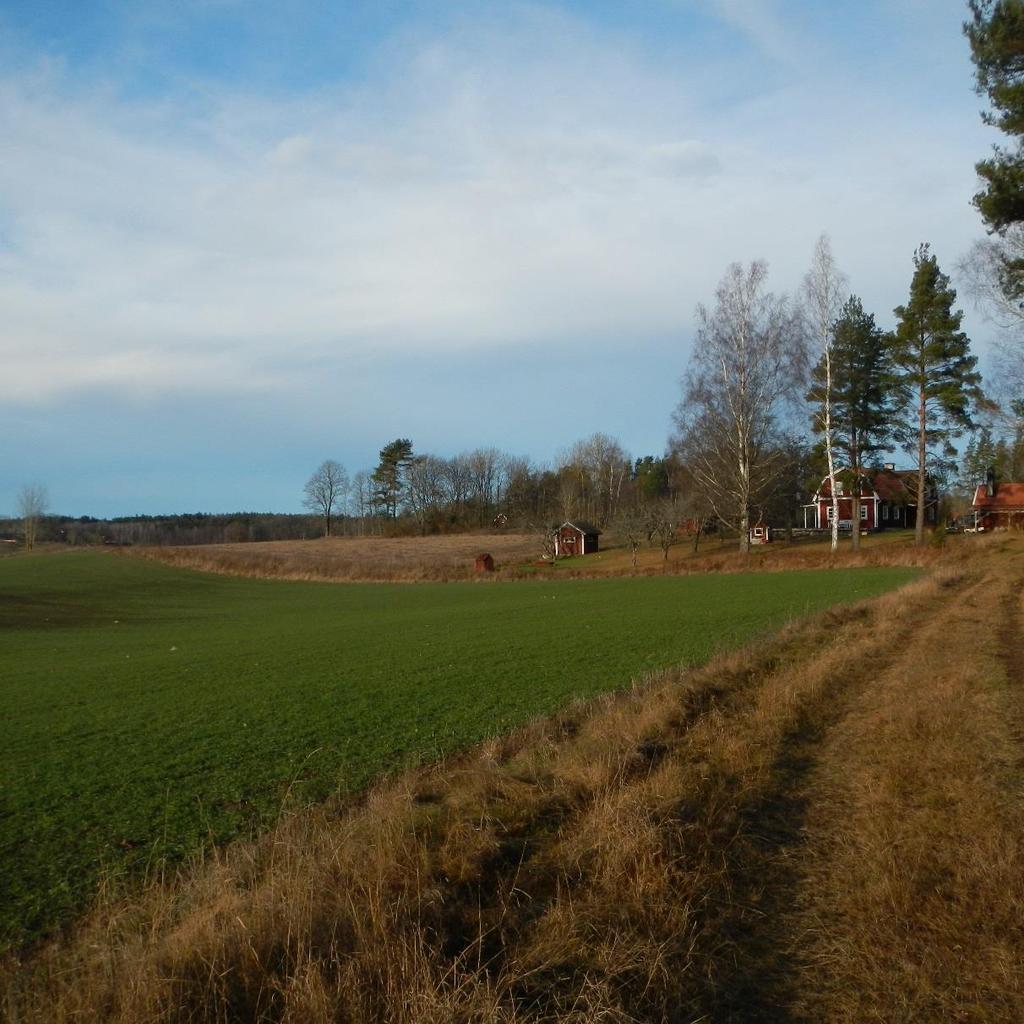6.3 Kulturmiljö Förutsättningar Inom utredningsområdet återfinns ett flertal fornlämningsmråden och övriga kulturhistoriska lämningar i form av boplatsområden och fynd av yxor och flinta som vittnar