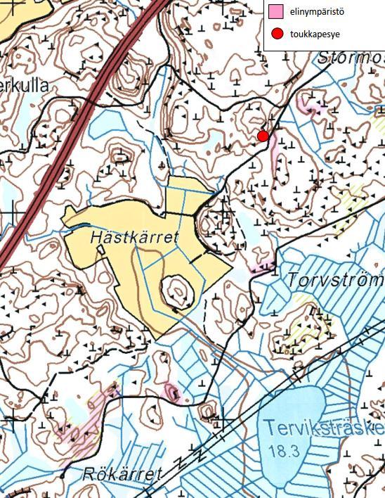 14 2.3.10 Arter i habitatdirektivets bilaga IV (a) Vid utredningen av flygekorrar våren 2015 upptäcktes inga tecken på förekomst av flygekorrar på området.