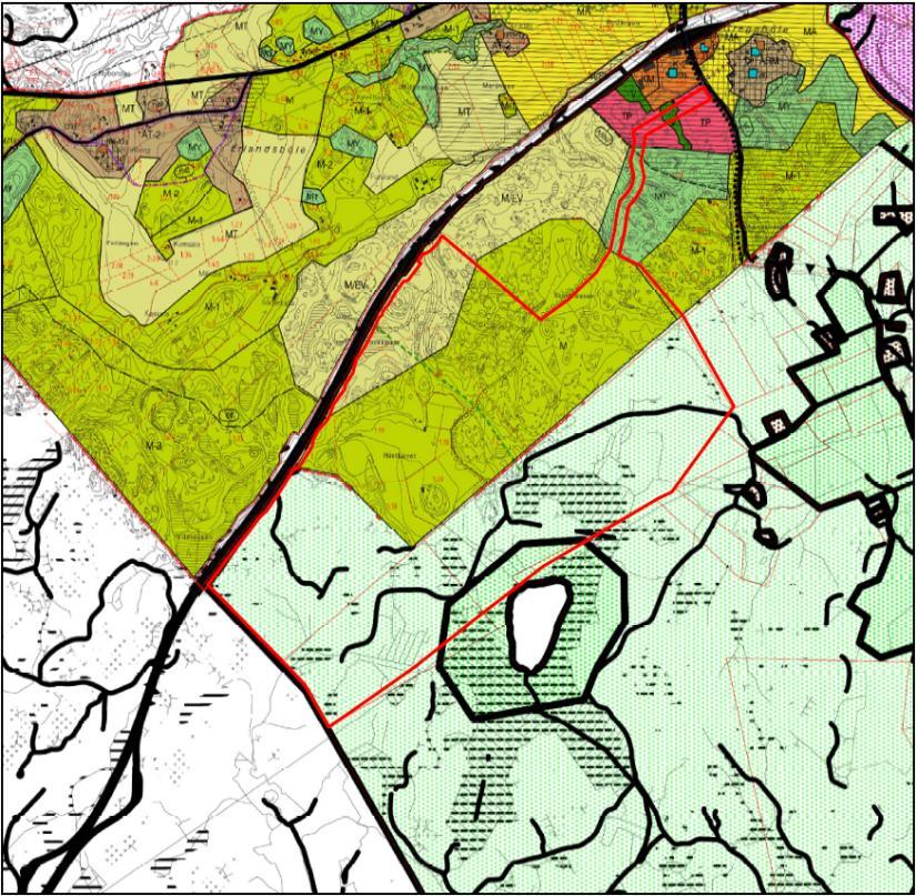 31 Norra delen av planeringsområdet är i Forsby Gammelby delgeneralplan anvisad som jord- och skogsbruksdominerat område / skyddsgrönområde (M/EV).