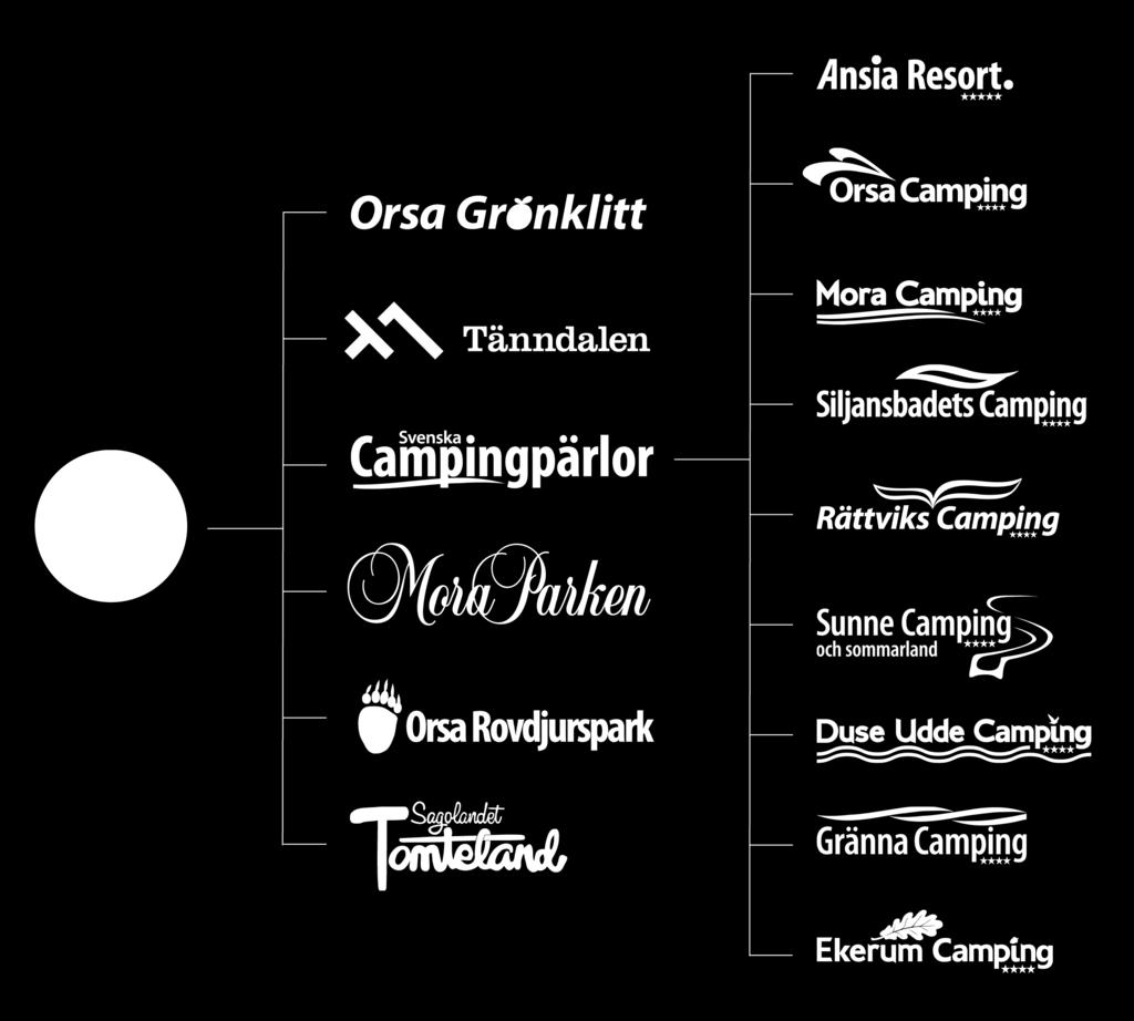 Kort om Grönklittsgruppen Verksamhet Affärsidé Grönklittsgruppens affärsidé är att verka inom besöksnäringen genom att bedriva verksamheter inom boende, konferens, camping, skidor och temapark.