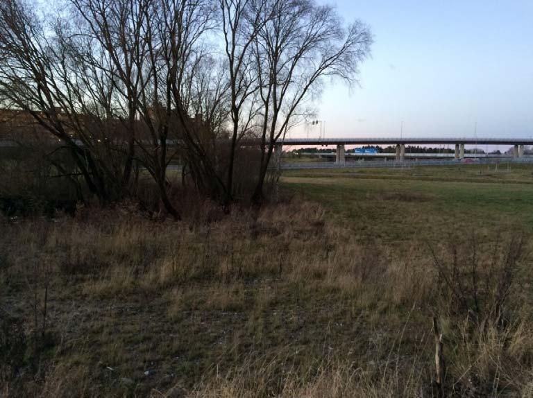 arbetsvägen ungefär i mitten av området. Fotot visar att den större arbetsvägen längre norr ut är uppbyggd över omgivande markyta.