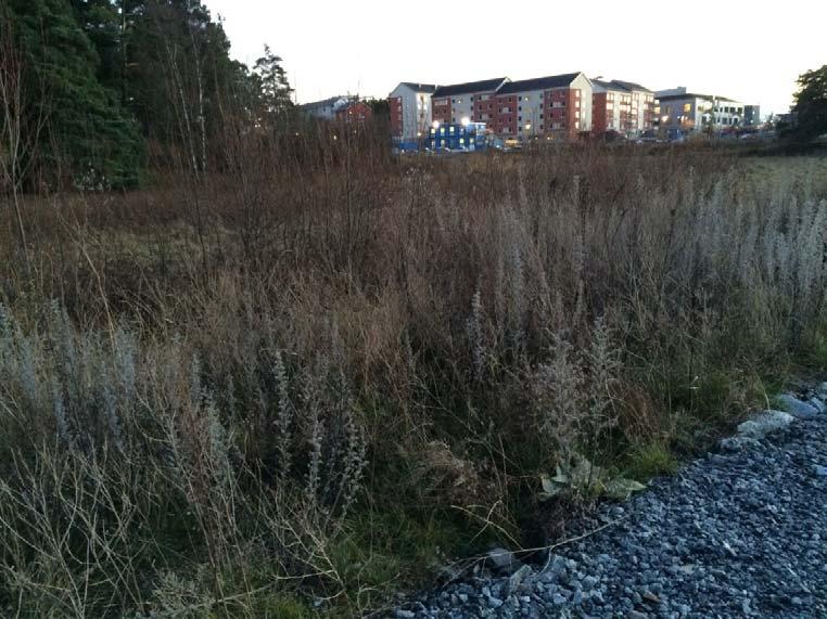 E18 i bakgrunden och i förgrunden visas ytvatten. Fotot är taget från arbetsvägen.