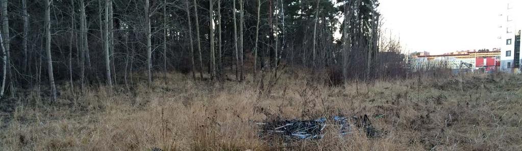 Figur 4: Rester från misstänkt kabelbränning i områdets sydöstra del. Fotot är taget mot väst. I den södra delen av området går berget i dagen på ett flertal platser.