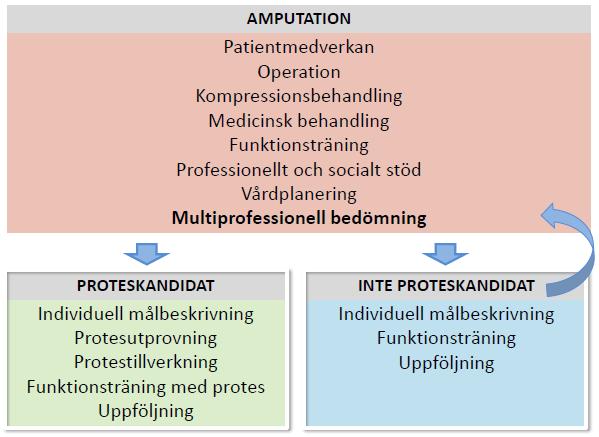 AMPUTATIONENS PLATS I VÅRDKEDJAN Amputation på nedre extremiteten är ofta ett led i en lång vårdkedja, både före och efter ingreppet, och med flera olika yrkesgrupper inblandade.