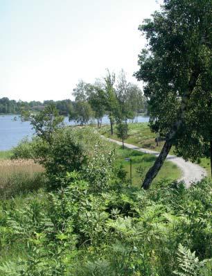 16 / Grönplan för Strängnäs kommun del B4 Utställningshandling 2018-06-07 Områden i kartan De områden som kategoriserats som Allmänt grönområde utgörs av olika typer av grönytor som finns i tätorten