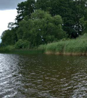 20 / Grönplan för Strängnäs kommun del B4 Utställningshandling 2018-06-07 Områden i kartan Områden som ingår i kategorin Regionalt naturvårdsprogram är sådana som bedömts vara av riksintresse och