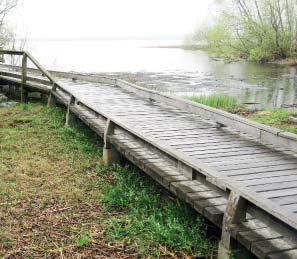 Grönplan för Strängnäs kommun del B4 Utställningshandling 2018-06-07 / 35 7.3 Trygghet och tillgänglighet Tillgänglighetsanpassning i våtmarksområde.