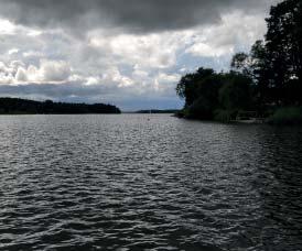 36 / Grönplan för Strängnäs kommun del B4 Utställningshandling 2018-06-07 kvar och att de ges utrymme att utvecklas efterhand som behovet ökar.